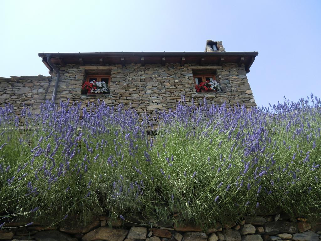 Hotel Agriturismo La Fontana Dell'Olmo Molini di Triora Exterior foto